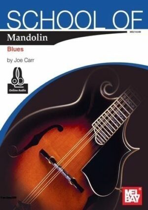 school-of-mandolin-blues.enzohekmat.com